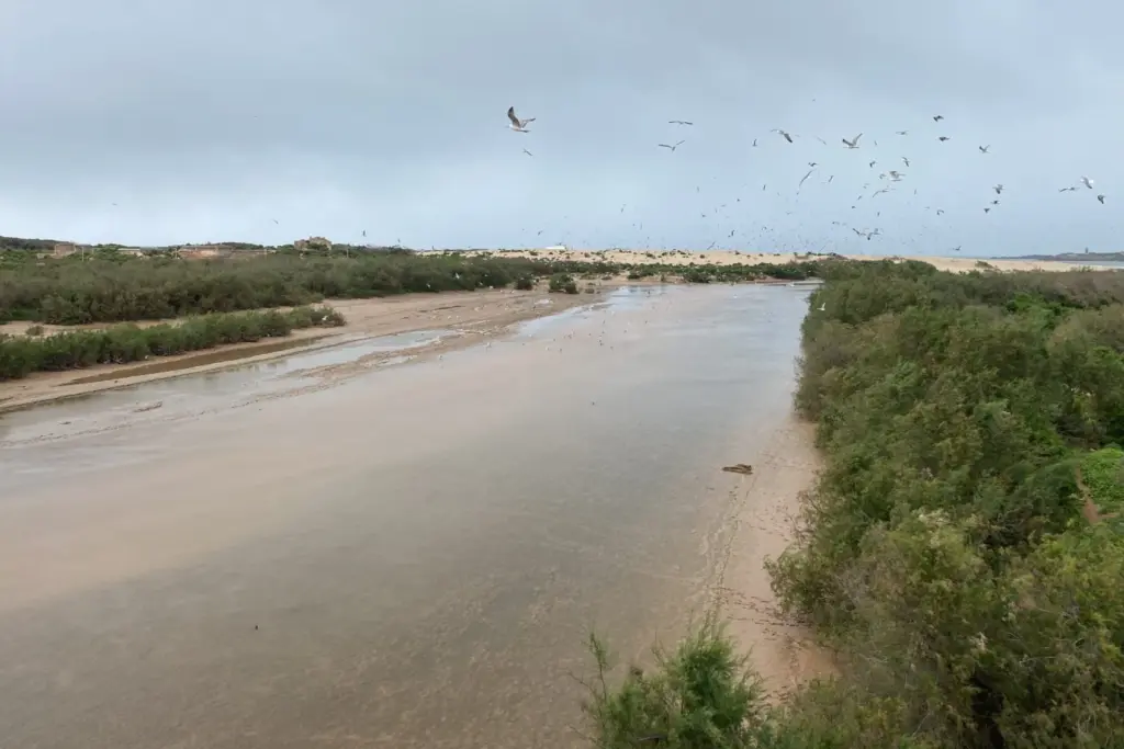 منظر لأرخبيل الصويرة، أحد أهم المناطق الرطبة في المغرب. إيفي/ بعدسة فاطمة الزهراء بوعزيز
