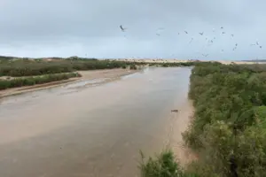 منظر لأرخبيل الصويرة، أحد أهم المناطق الرطبة في المغرب. إيفي/ بعدسة فاطمة الزهراء بوعزيز 